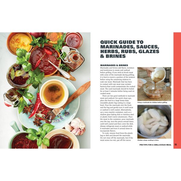 Grilling Essentials Guide and Cookbook 9781580118521 Cheap - Image 3